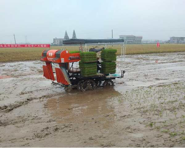 石潭镇：抛秧机现场演示 种植户直呼“省时省力”