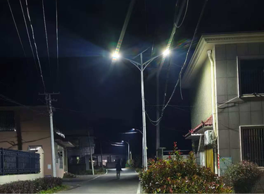 云湖桥镇：爱心路灯照亮乡村幸福路