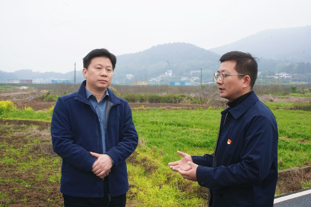 宋任飞调研乌石峰村乡村振兴及文旅产业发展情况