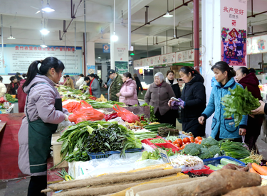 湘潭县“菜篮子”春意浓