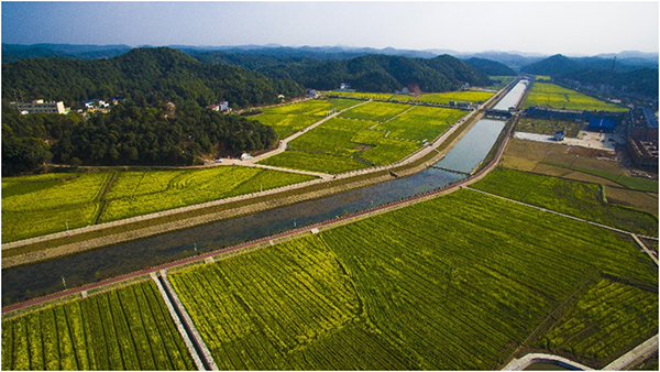 未标题-12.jpg