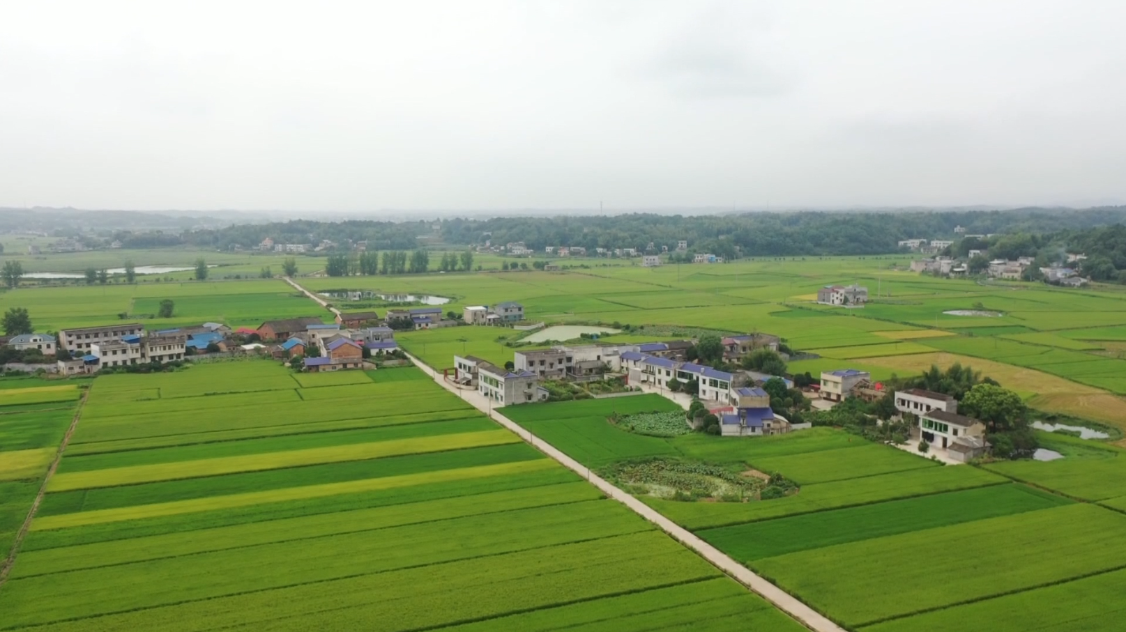 QQ图片20210830090603.png QQ图片20210830090603.png