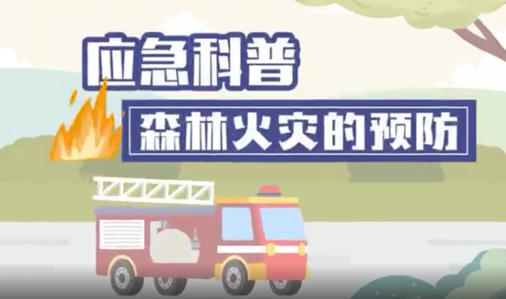 应急科普 | 视频：森林火灾的预防