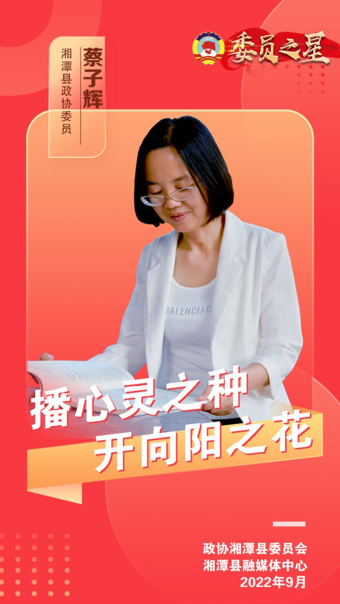 蔡子辉11-封面.jpg