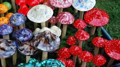 毒蘑菇中毒高发季，切勿采食野生蘑菇