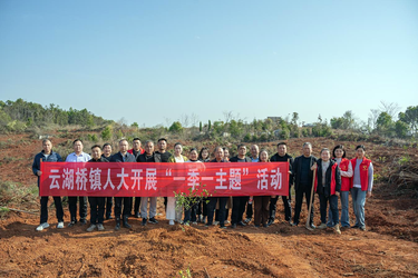 云湖桥镇：代表履“植”添新绿，植树造林正当时