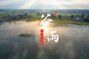AI说节气｜谷雨到 百谷生
