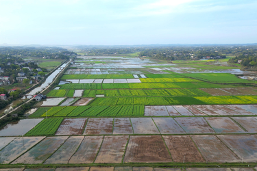 产业“莲”通致富路丨稳粮、兴产、美村白石镇湖田村“三驾马车”跑出乡村振兴“加速度”