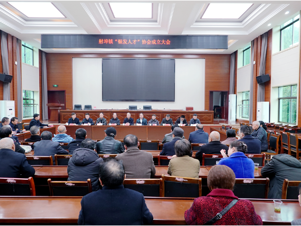 射埠镇银发人才协会成立