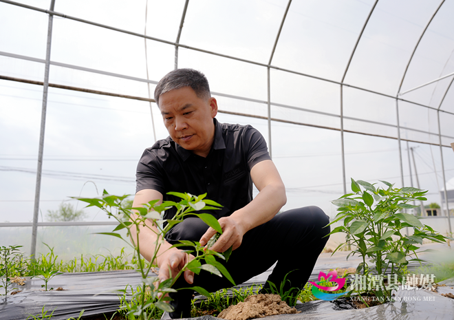 【百年工运心向党 奋力建功“十五五”】全国先进工作者邓述东：30余年基层坚守与荣光