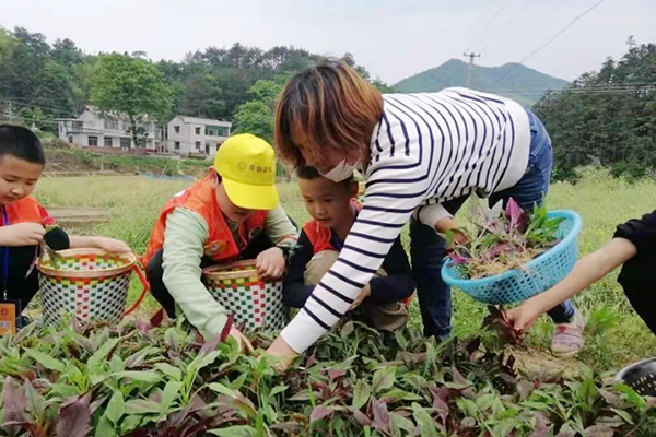 微信图片_20210305101155.jpg 微信图片_20210305101155.jpg