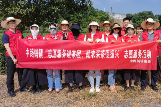 中路铺镇：志愿服务践初心 助农采茶促振兴