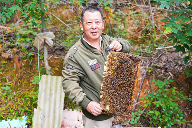 【莲乡有好物】谭家山镇里的“甜蜜”事业