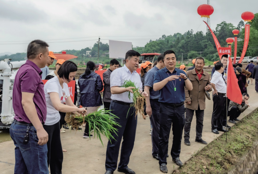 2022年7月18日，湖南省政协副主席李民（中）到湘潭县排头乡考察粮食安全委员工作室工作情况。