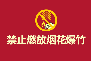 视频 | 为了安全与健康 请勿燃放烟花爆竹