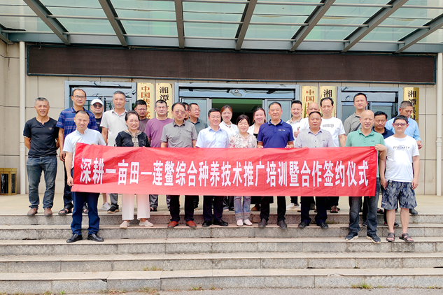 湘潭县：莲田射埠甲鱼“抱团”发展