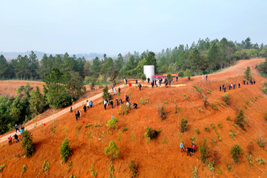 不负春光添新绿！湘潭县开展义务植树活动