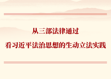 第一观察 | 从三部法律通过看习近平法治思想的生动立法实践
