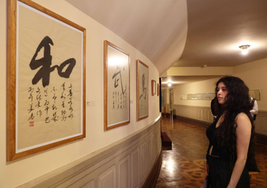 心相近｜文化为桥 中巴友谊双向奔赴