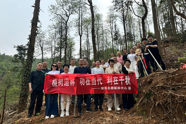 湘潭县融媒体中心开展义务植树暨登山竞赛主题活动