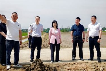 县人大视察调研高标准农田建设工作