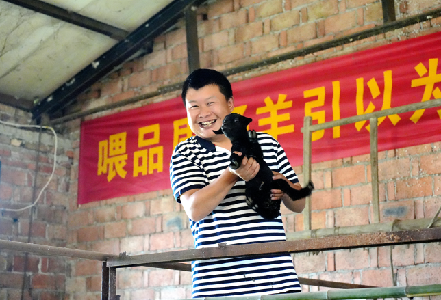 返乡养羊闯天地！90后新农人“咩”出幸福生活