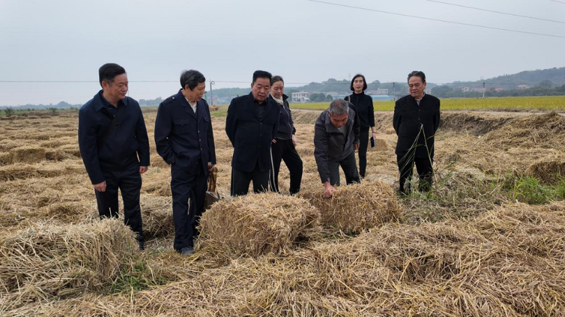 银发专家送技到田头 秸秆综合利用有良方