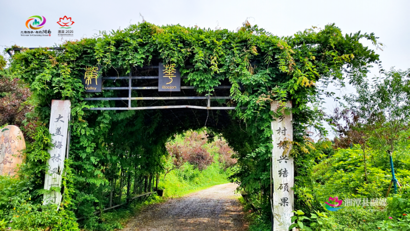 第六届湖南旅游发展大会｜闯入绿野仙踪！走，去桃花谷过夏天！
