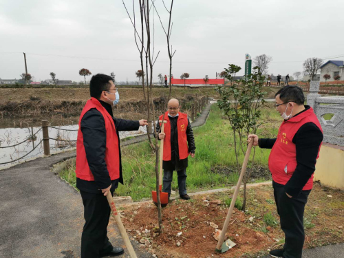 植树2.jpg 植树2.jpg