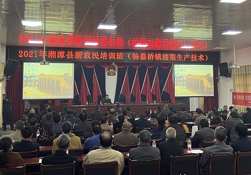 农民油菜培训.jpg
