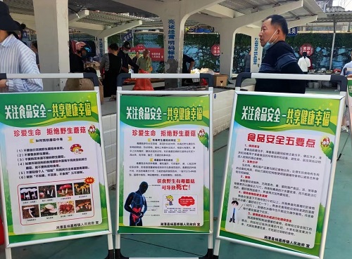 毒蘑菇宣传2.jpg