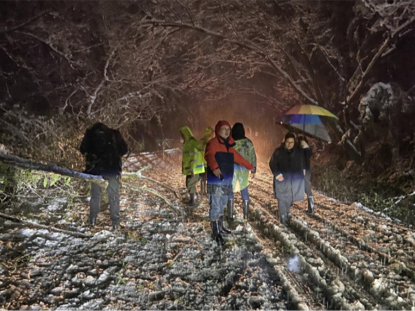 党政负责人带队清除路面树枝.png 党政负责人带队清除路面树枝.png