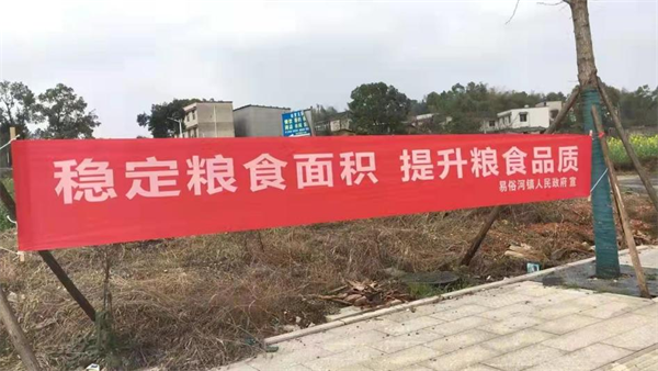 图片12.png