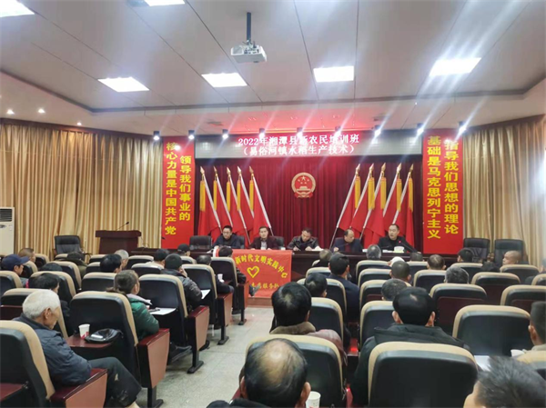 图片15.png