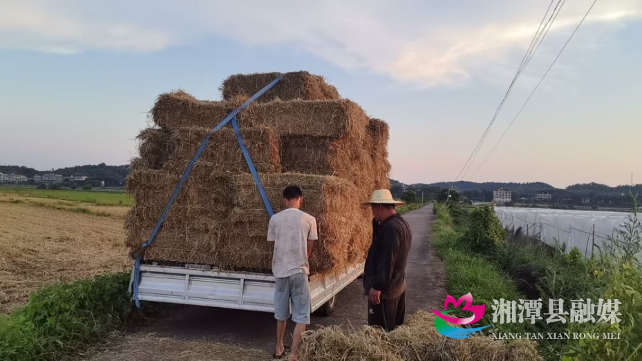 杨嘉桥镇：秸秆禁烧亮实招 织密蓝天防护网02.png