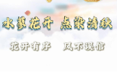 【莲乡·花信风】水蓼花开，点染清秋