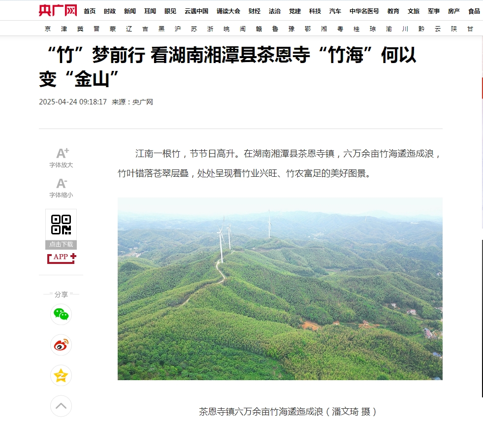 央广网：“竹”梦前行 看湖南湘潭县茶恩寺“竹海”何以变“金山”.png