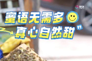 这是一只蜜蜂的自述，来听听它的“故事”……