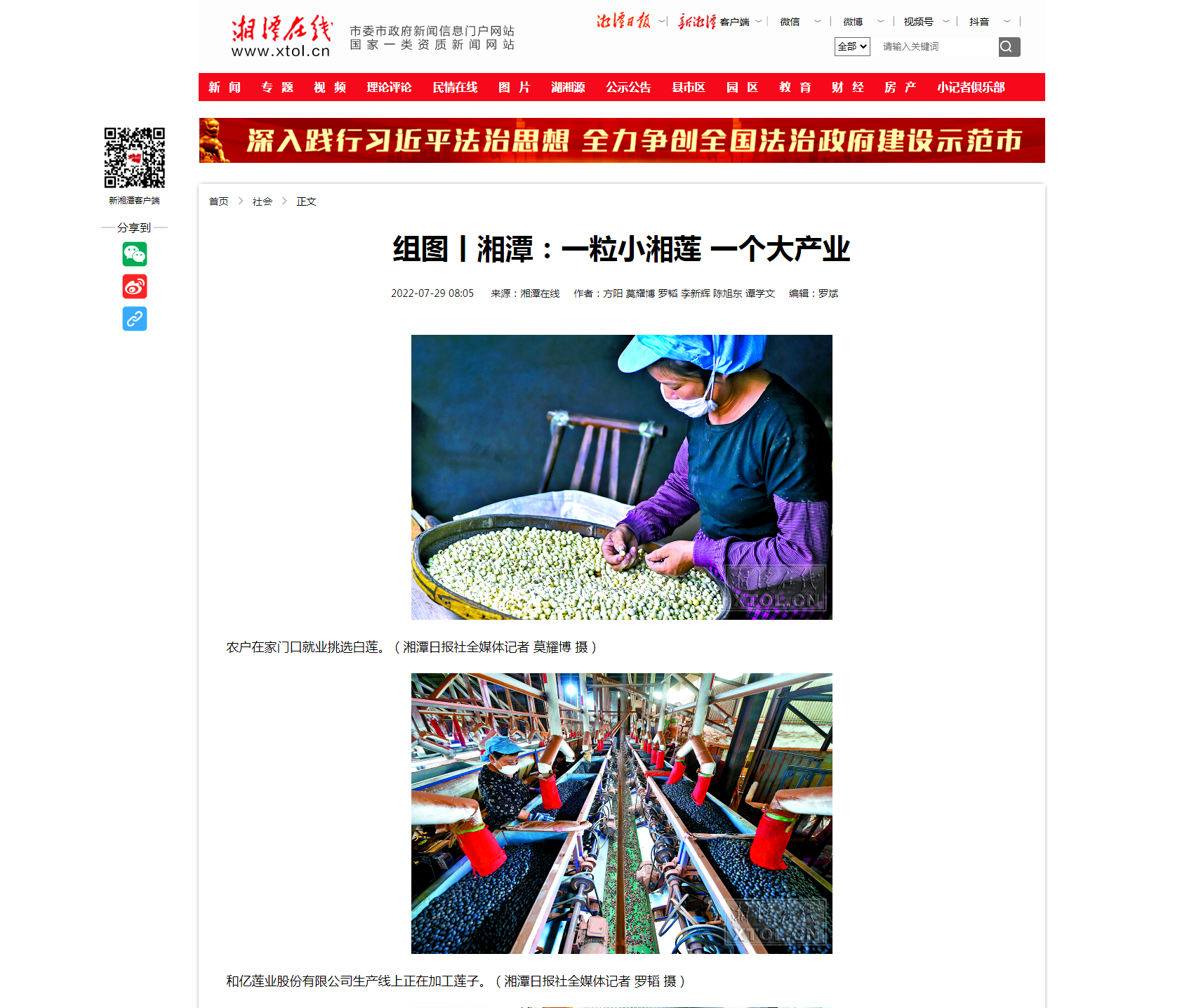 7 湘潭在线：组图丨湘潭：一粒小湘莲 一个大产业.png
