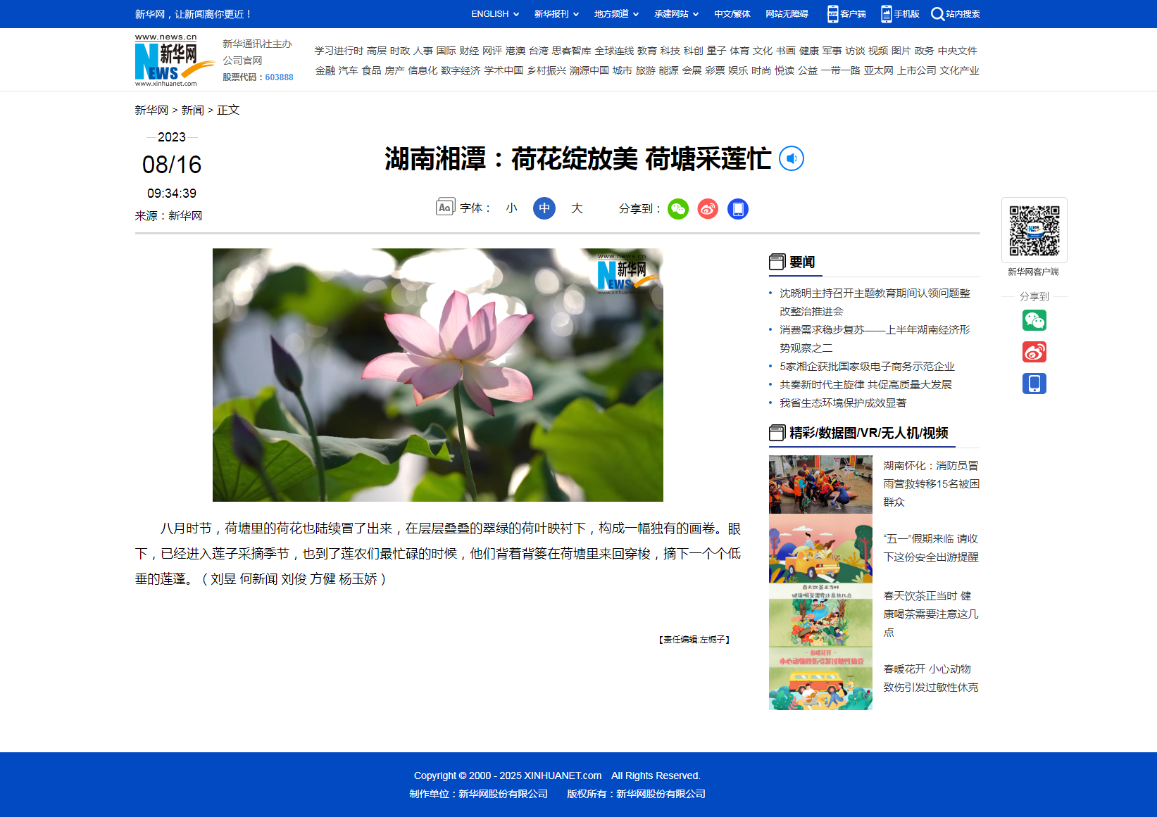 4 新华网：荷花绽放美 荷塘采莲忙.png