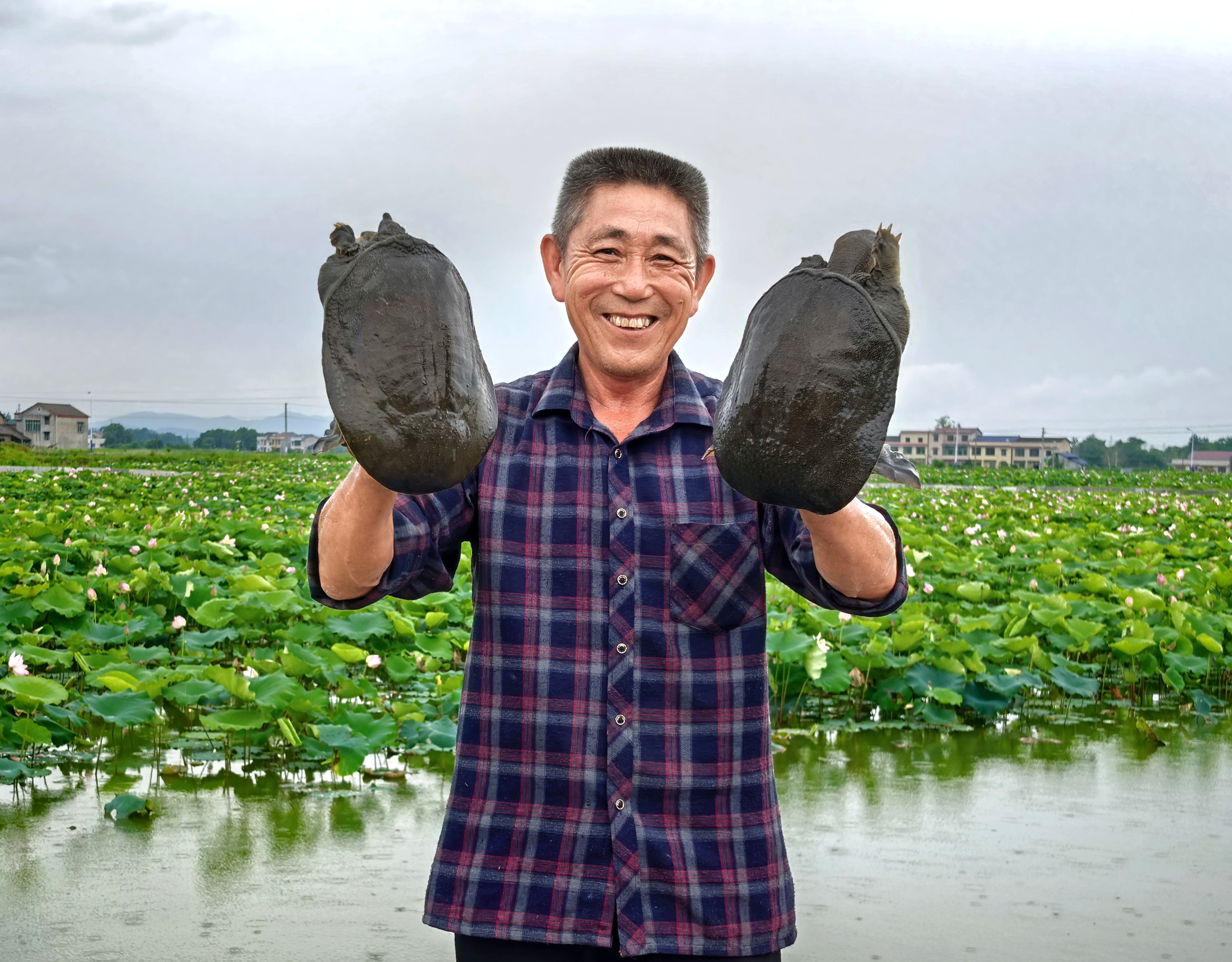 21 邓光玉托起刚捕捞的甲鱼.jpg