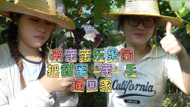 来亲亲乐果园 把甜蜜“亲”手带回家
