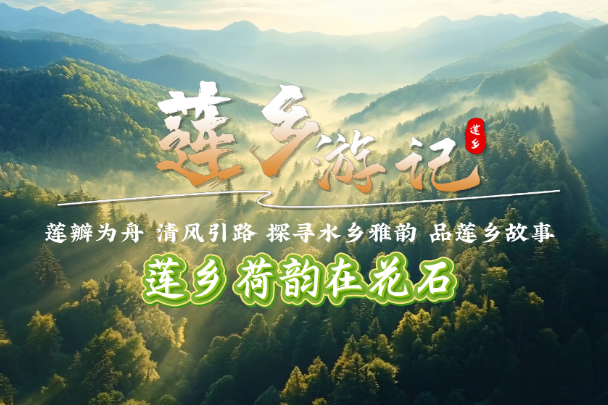【莲乡游记】莲乡荷韵在花石