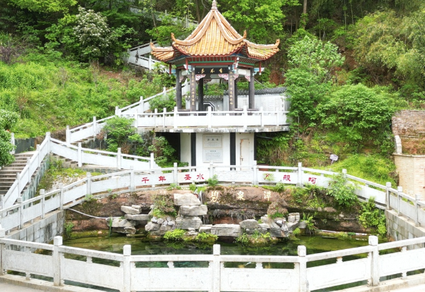 产业“莲”通致富路｜ 锦石乡“一潭活水”掀起特色水产“致富浪花”
