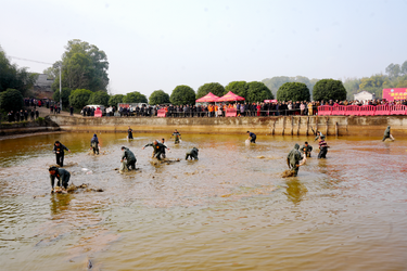 【新春走基层】抓鱼、尝鲜！湘潭县这场捕鱼嘉年华好热闹