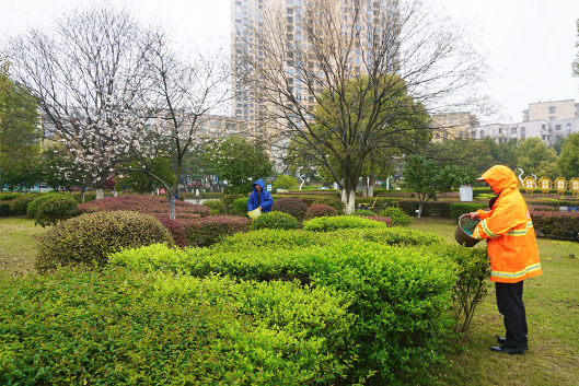 春肥“投喂”！湘潭县100余万平方米绿植开启春日生长模式