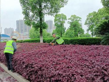 湘潭县：修剪绿植添景致 满城春色入眼来