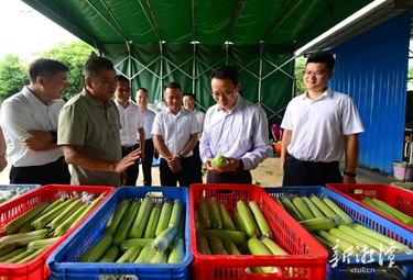 胡贺波赴湘潭县调研乡村特色产业发展情况