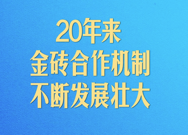 开启金砖合作第三个“金色十年”，习近平阐述中国主张