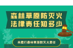秋季风干物燥，森林防火“十不准”请牢记！